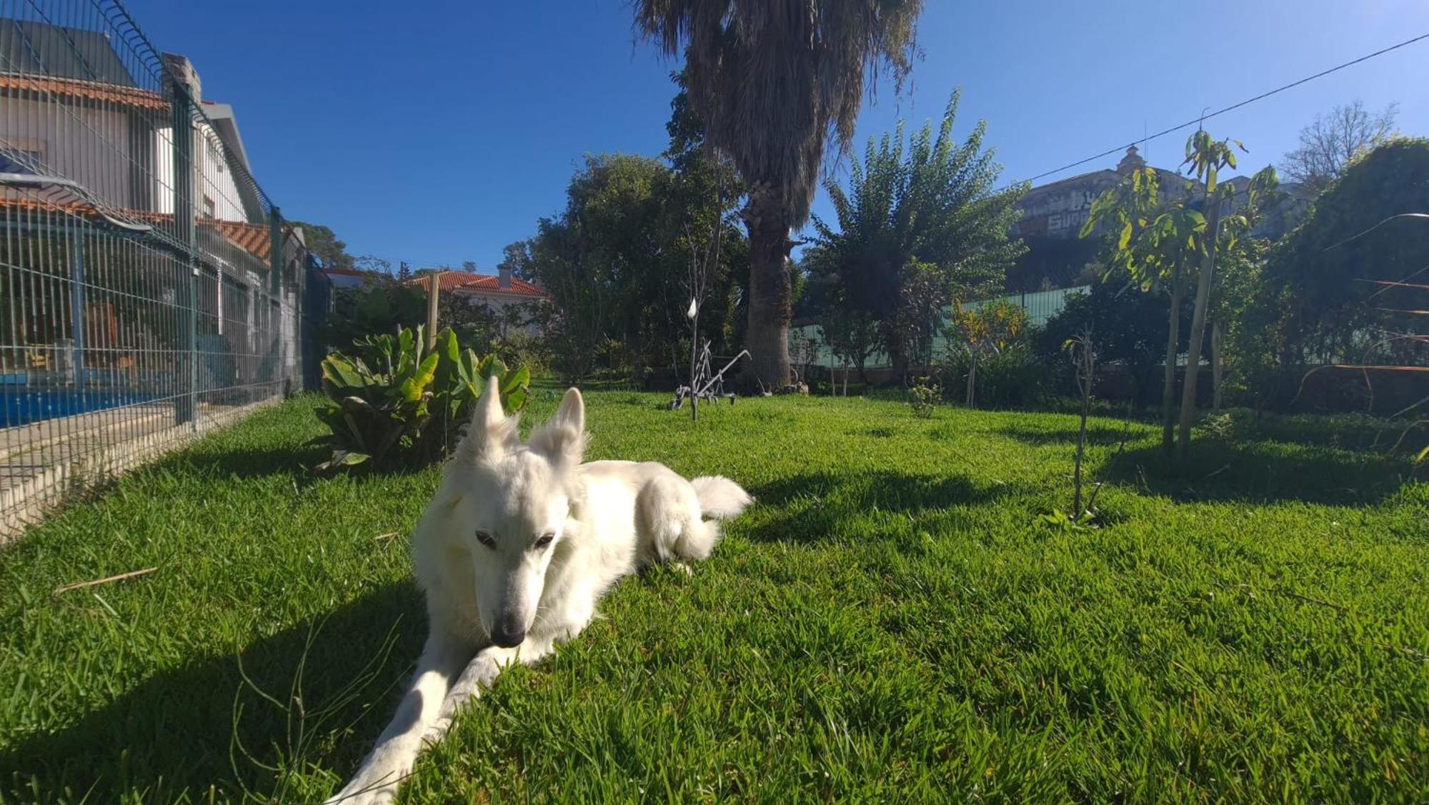 Hostel Jardins De Sao Luis Setúbal Kültér fotó